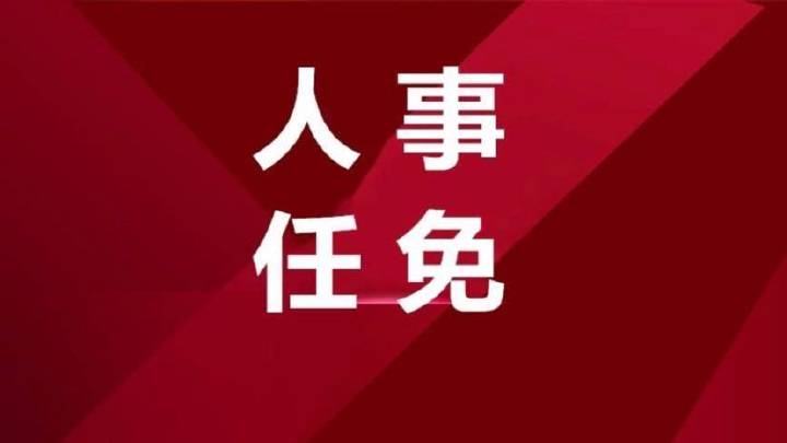 江苏人事任免最新公告与小巷中的美食探秘