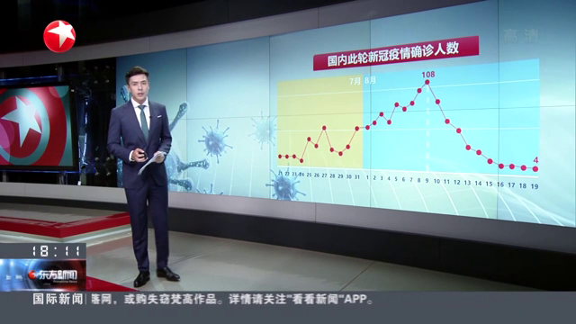 新冠疫情国内最新动态与步骤指南概述