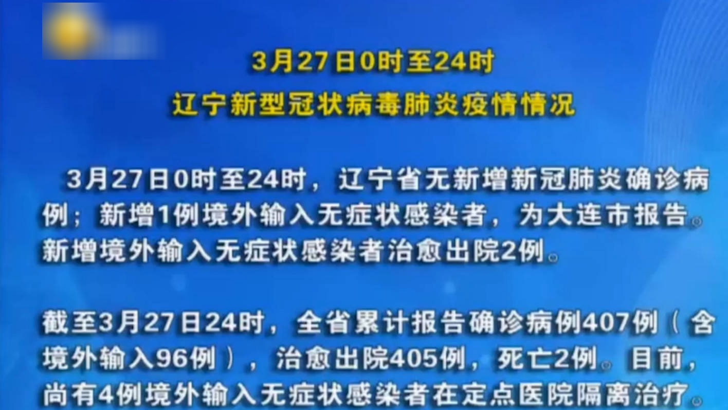 阜新新型肺炎最新动态，全面解析与观点论述