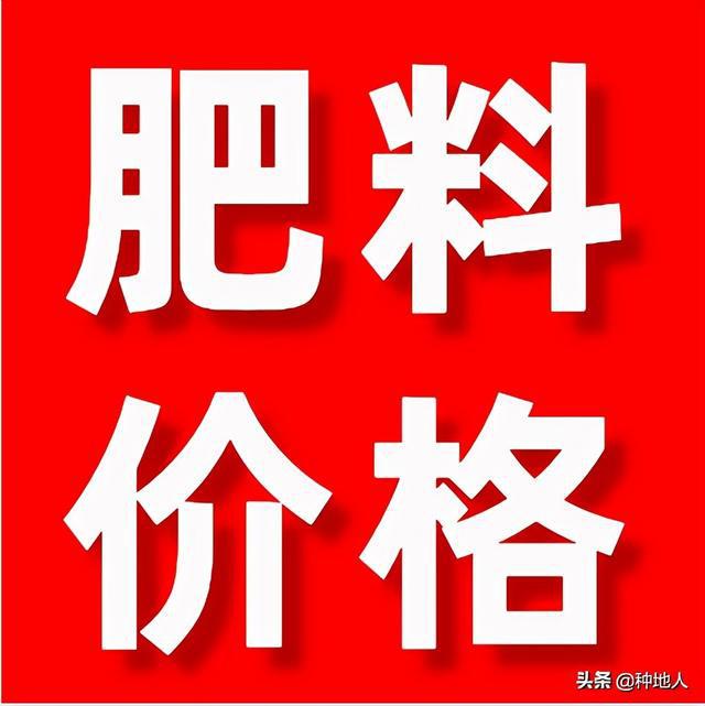 今日复合肥最新价格