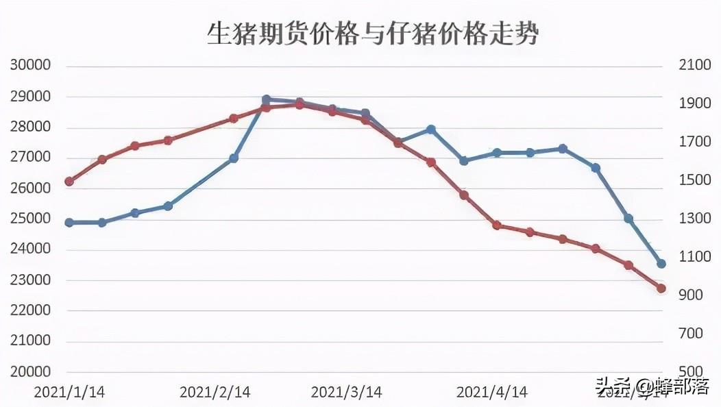 台山最新猪价动态