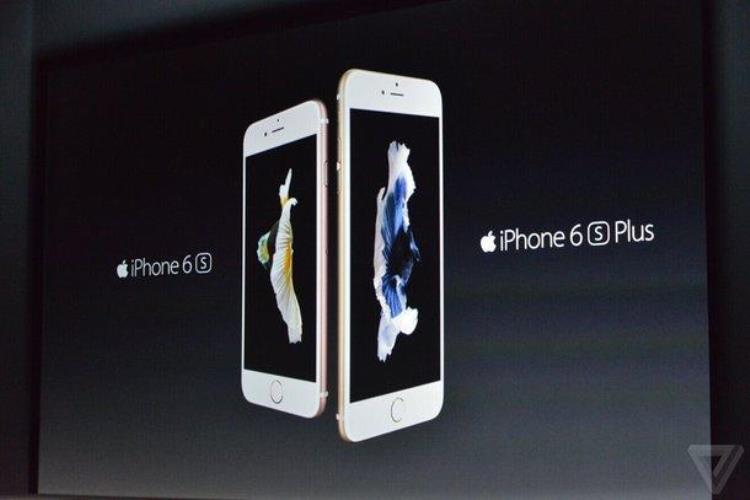 iphone6 上市