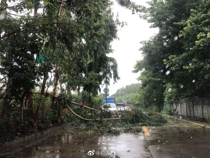 番禺台风最新动态