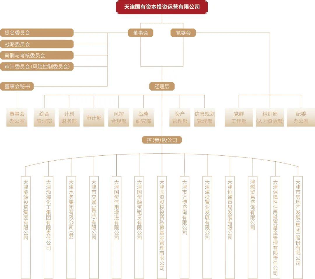 天房集团混合所有制改革最新动态