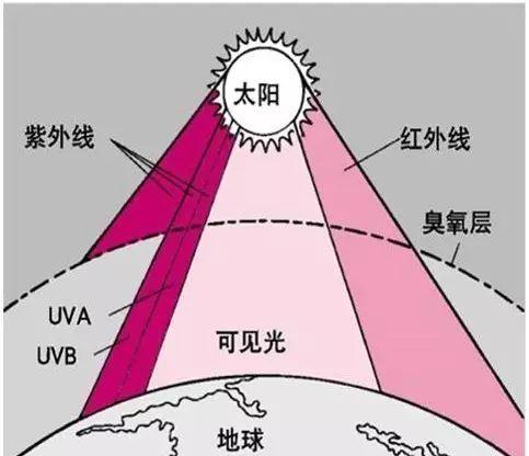 最新版输液需避光药物