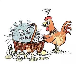 最新H7N9疫情背景下的小巷奇遇，隐藏深处的特色小店