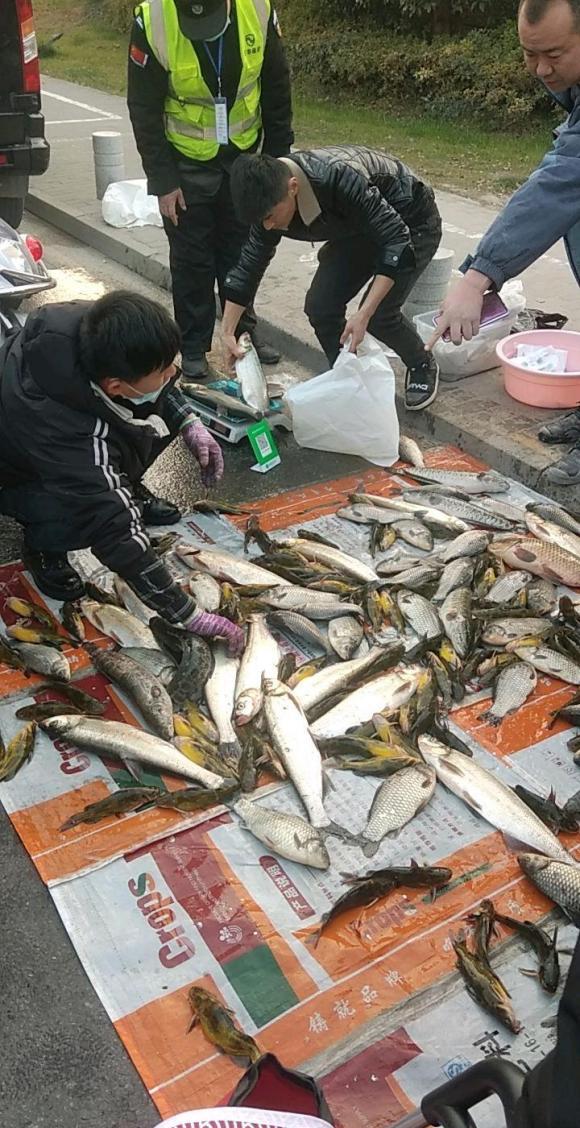 卖鱼哥最新高科技产品介绍亮相，引领行业新潮流